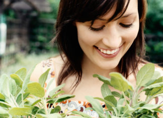 Salvia 748 0 086 Salvia